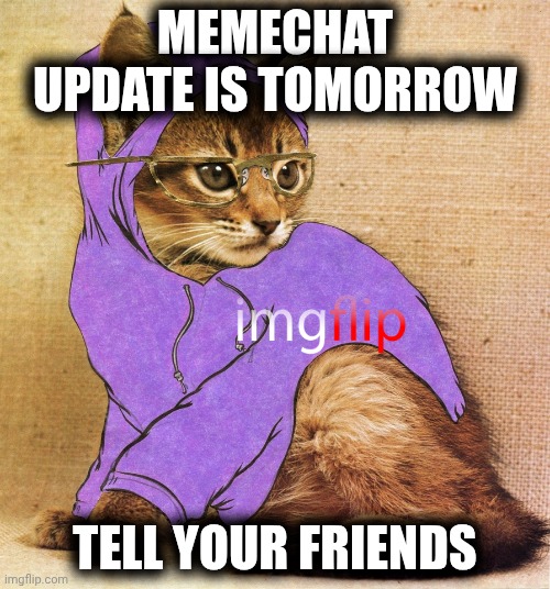 It's true | MEMECHAT UPDATE IS TOMORROW; TELL YOUR FRIENDS | image tagged in hipster kitty | made w/ Imgflip meme maker