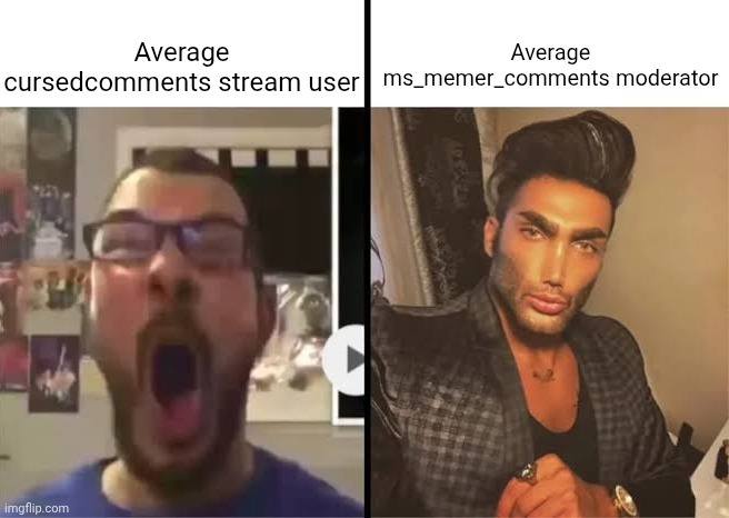 Average X fan vs average X enjoyer | Average ms_memer_comments moderator; Average cursedcomments stream user | image tagged in average x fan vs average x enjoyer | made w/ Imgflip meme maker