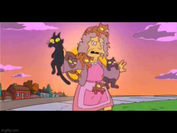 Simpson's Crazy Cat Lady | image tagged in simpson's crazy cat lady | made w/ Imgflip meme maker