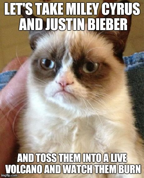 Grumpy Cat | LET'S TAKE MILEY CYRUS AND JUSTIN BIEBER AND TOSS THEM INTO A LIVE VOLCANO AND WATCH THEM BURN | image tagged in memes,grumpy cat | made w/ Imgflip meme maker