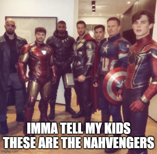 Avengers? | IMMA TELL MY KIDS THESE ARE THE NAHVENGERS | image tagged in avengers | made w/ Imgflip meme maker