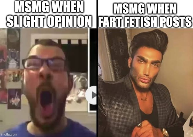 Average X fan vs average X enjoyer | MSMG WHEN SLIGHT OPINION; MSMG WHEN FART FETISH POSTS | image tagged in average x fan vs average x enjoyer | made w/ Imgflip meme maker
