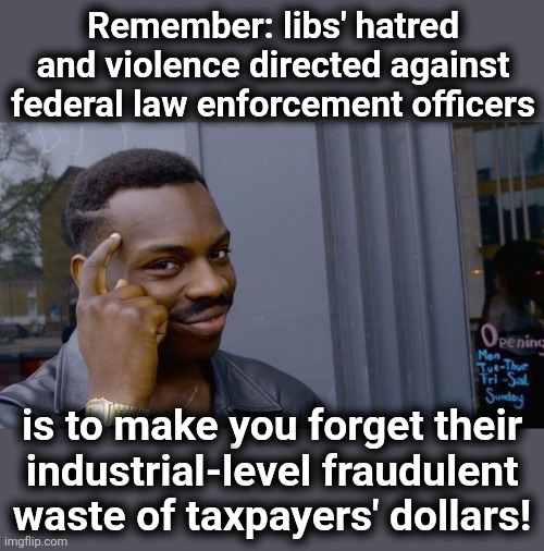 Remember in November | Remember: libs' hatred and violence directed against federal law enforcement officers; is to make you forget their
industrial-level fraudulent
waste of taxpayers' dollars! | image tagged in memes,roll safe think about it,democrats,fraud,wasteful government spending,ice | made w/ Imgflip meme maker