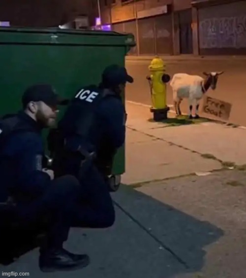 Ice agents and free goat Trap | image tagged in goat,trap,lol | made w/ Imgflip meme maker