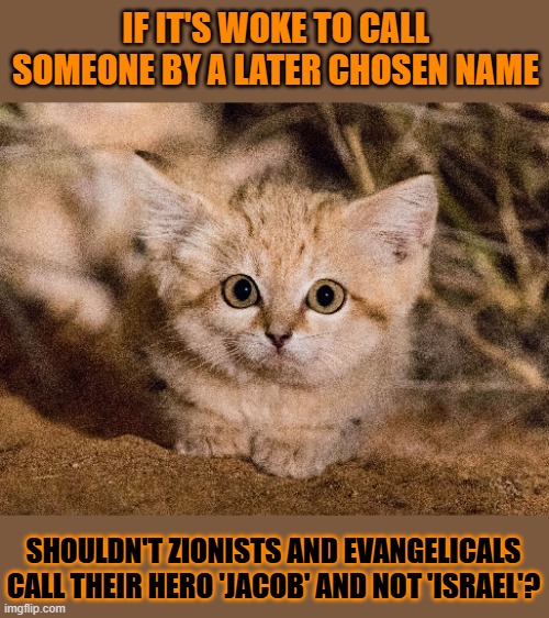 This #lolcat wonders if evangelicals and zionists are woke | IF IT'S WOKE TO CALL SOMEONE BY A LATER CHOSEN NAME; SHOULDN'T ZIONISTS AND EVANGELICALS CALL THEIR HERO 'JACOB' AND NOT 'ISRAEL'? | image tagged in woke,evangelicals,zionists,theology,anti-religion,lolcat | made w/ Imgflip meme maker