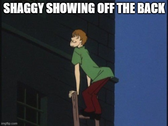 Shaggy Got Back | SHAGGY SHOWING OFF THE BACK | image tagged in shaggy | made w/ Imgflip meme maker