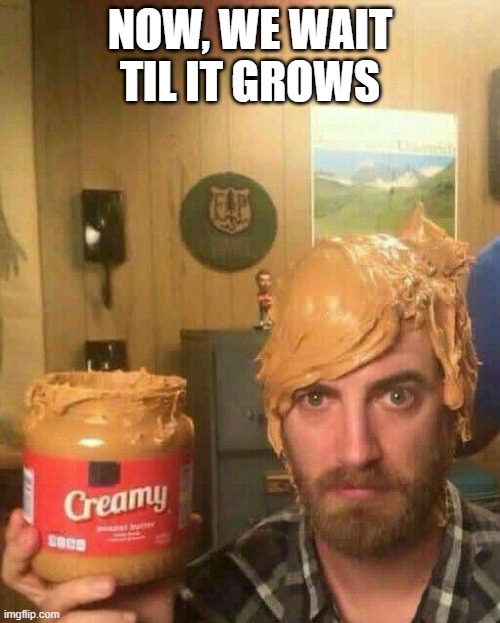 Hair Growth? | NOW, WE WAIT TIL IT GROWS | image tagged in unsee juice | made w/ Imgflip meme maker
