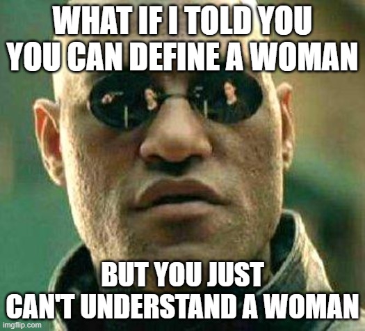 What if i told you | WHAT IF I TOLD YOU YOU CAN DEFINE A WOMAN; BUT YOU JUST CAN'T UNDERSTAND A WOMAN | image tagged in what if i told you | made w/ Imgflip meme maker