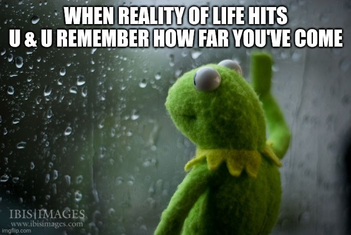 Life | WHEN REALITY OF LIFE HITS U & U REMEMBER HOW FAR YOU'VE COME | image tagged in kermit window | made w/ Imgflip meme maker
