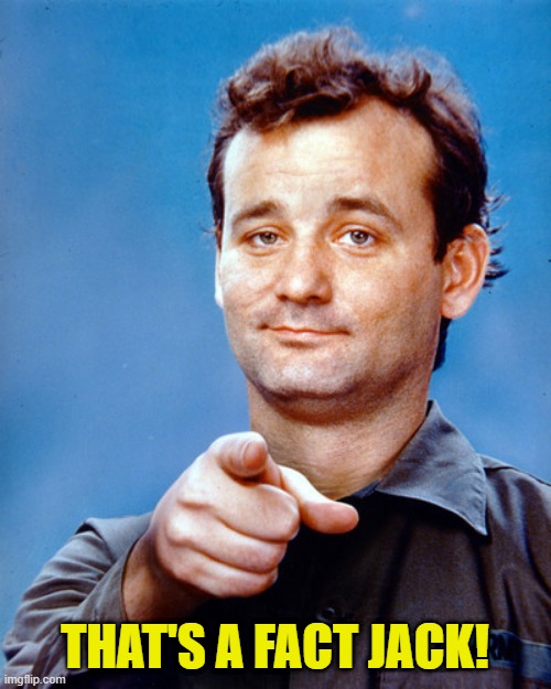 Murray Stripes Independence Day | THAT'S A FACT JACK! | image tagged in murray stripes independence day | made w/ Imgflip meme maker