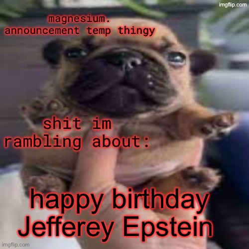 pug temp | happy birthday Jefferey Epstein | image tagged in pug temp | made w/ Imgflip meme maker