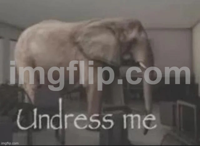 undress me | image tagged in undress me | made w/ Imgflip meme maker
