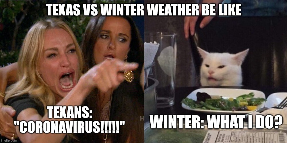 Texas VS Winter Weather | TEXAS VS WINTER WEATHER BE LIKE; TEXANS: "CORONAVIRUS!!!!!"; WINTER: WHAT I DO? | image tagged in cat screaming at the cat,slay,excuse me what the fuck,snow,bitch,texas | made w/ Imgflip meme maker