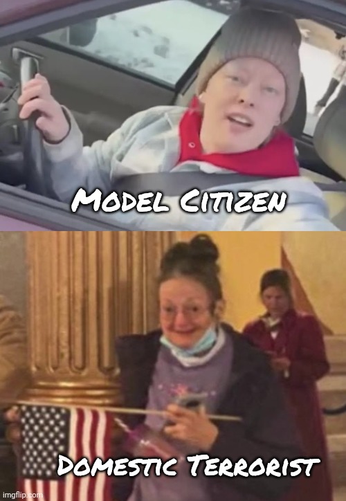 Model Citizen Domestic Terrorist | image tagged in rene goid,january 6 insurrectionist | made w/ Imgflip meme maker