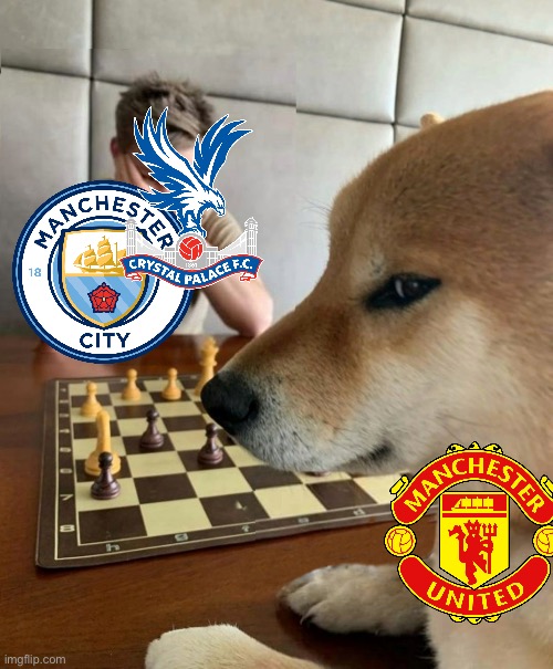 Chess doge | image tagged in chess doge | made w/ Imgflip meme maker