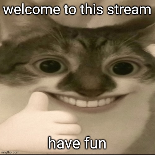 bombastic side eye cat v3 | welcome to this stream; have fun | image tagged in bombastic side eye cat v3 | made w/ Imgflip meme maker