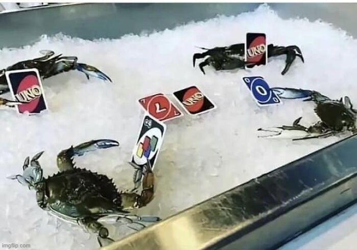 crab uno | image tagged in what | made w/ Imgflip meme maker