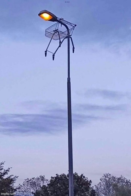 shopping cart | image tagged in what | made w/ Imgflip meme maker