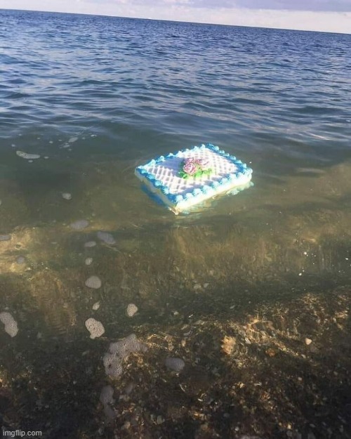 cake | image tagged in what | made w/ Imgflip meme maker