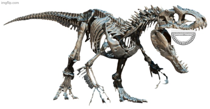 Indominus Rex Skeleton | image tagged in indominus rex skeleton | made w/ Imgflip meme maker