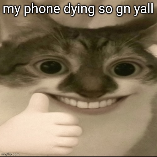 bombastic side eye cat v3 | my phone dying so gn yall | image tagged in bombastic side eye cat v3 | made w/ Imgflip meme maker