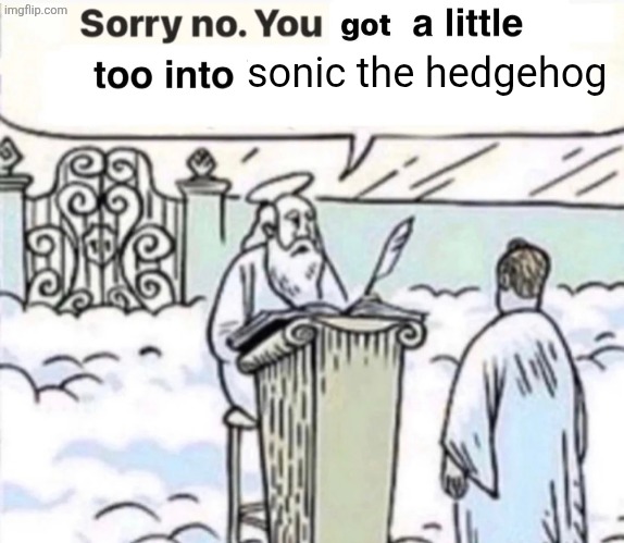 You Got A Little Too Into X | sonic the hedgehog | image tagged in you got a little too into x | made w/ Imgflip meme maker