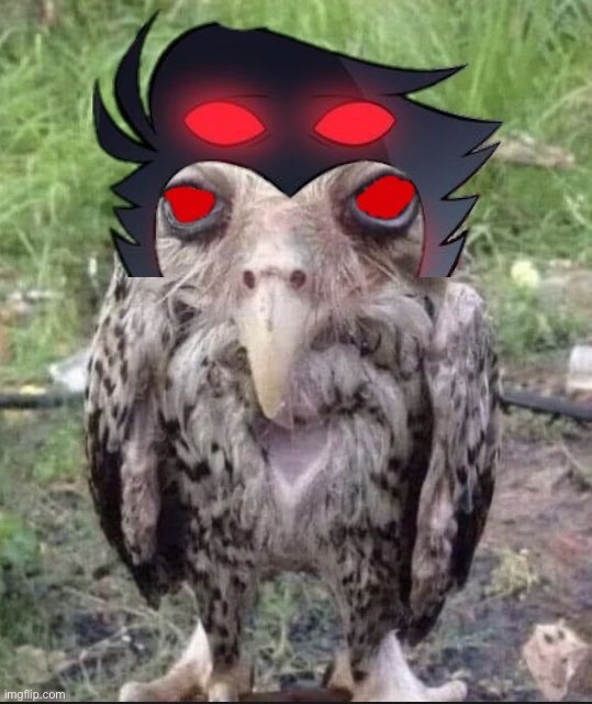 owl fuck | made w/ Imgflip meme maker