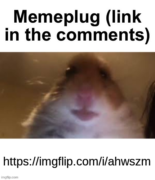 Memeplug | https://imgflip.com/i/ahwszm | image tagged in memeplug | made w/ Imgflip meme maker