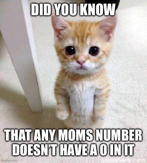 Prove me wrong in the comments | DID YOU KNOW; THAT ANY MOMS NUMBER DOESN’T HAVE A 0 IN IT | image tagged in memes,cute cat,funny,cats,hahahahaha | made w/ Imgflip meme maker