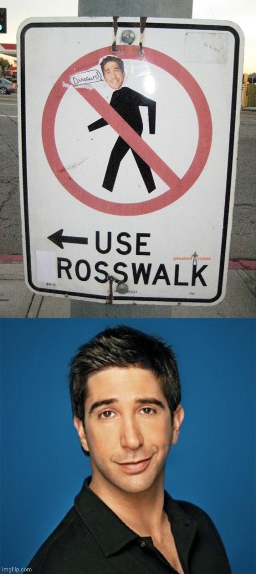 Rosswalk | image tagged in ross from friends,ross | made w/ Imgflip meme maker