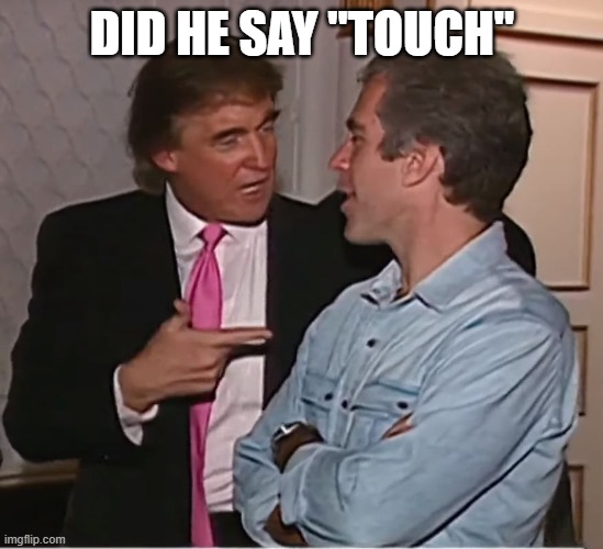 trump epstein party | DID HE SAY "TOUCH" | image tagged in trump epstein party | made w/ Imgflip meme maker