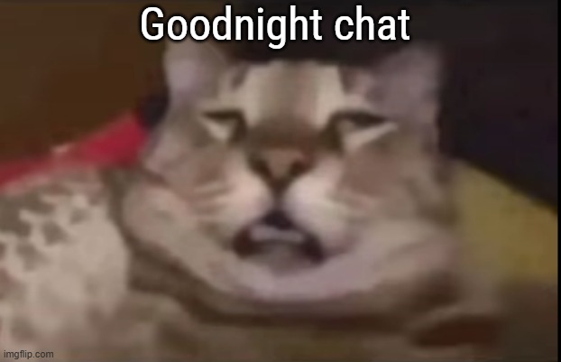 tired asl | Goodnight chat | image tagged in tired asl | made w/ Imgflip meme maker