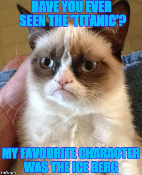 Grumpy Cat | HAVE YOU EVER SEEN THE 'TITANIC'? MY FAVOURITE CHARACTER WAS THE ICE BERG | image tagged in memes,grumpy cat | made w/ Imgflip meme maker
