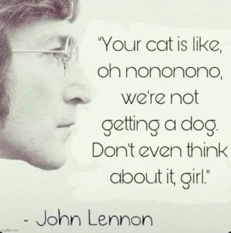 that boy said | made w/ Imgflip meme maker