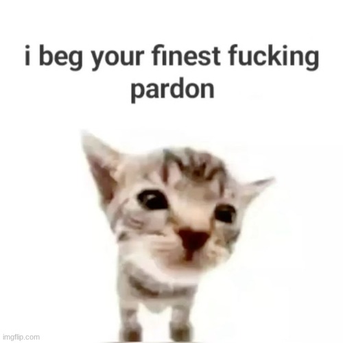 I beg your finest pardon | image tagged in i beg your finest pardon | made w/ Imgflip meme maker