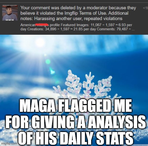 TRIGGERED SNOWFLAKES ALL AROUND | MAGA FLAGGED ME FOR GIVING A ANALYSIS OF HIS DAILY STATS | image tagged in snowflake | made w/ Imgflip meme maker