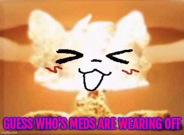 Boykisser nuke | GUESS WHO'S MEDS ARE WEARING OFF | image tagged in boykisser nuke | made w/ Imgflip meme maker