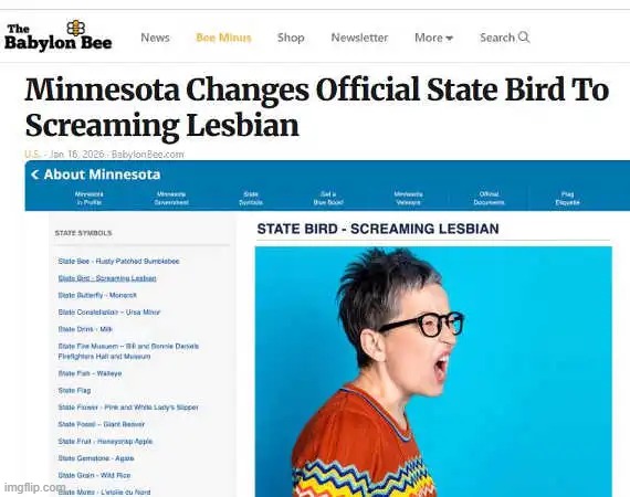 And NOT change for the better! | image tagged in minnesota,state bird,change,scary | made w/ Imgflip meme maker