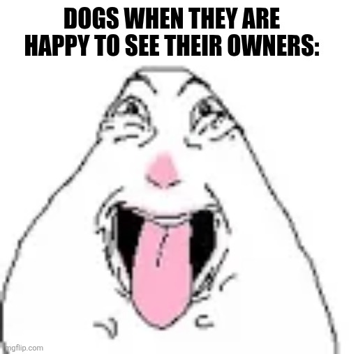 DOGS WHEN THEY ARE HAPPY TO SEE THEIR OWNERS: | image tagged in memes,doggy,happy | made w/ Imgflip meme maker