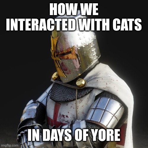 HOW WE INTERACTED WITH CATS IN DAYS OF YORE | image tagged in paladin | made w/ Imgflip meme maker