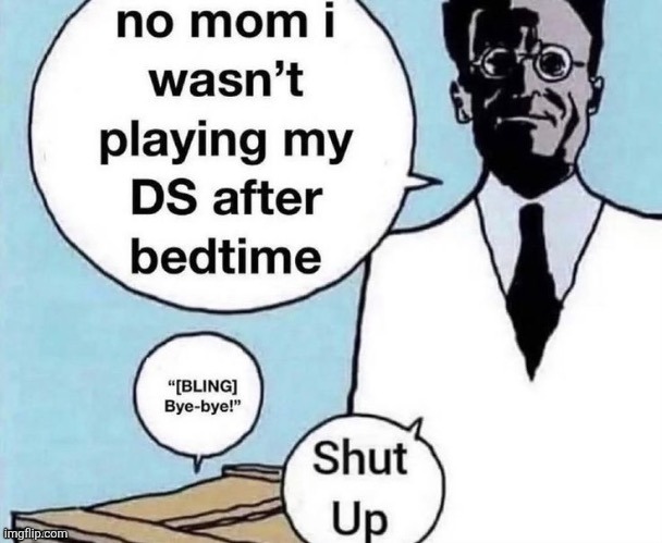 no mom i wasn't playing my DS after bedtime

"[BLING] Bye-bye!"

Shut Up | made w/ Imgflip meme maker