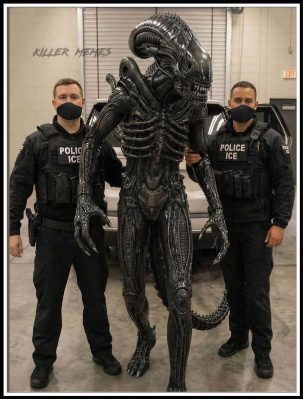 Ice with Illegal Alien Blank Meme Template