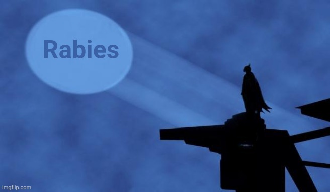 batman signal | Rabies | image tagged in batman signal | made w/ Imgflip meme maker