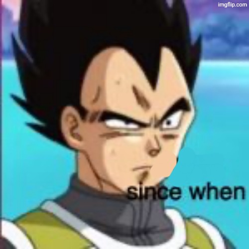 confused vegeta | image tagged in confused vegeta | made w/ Imgflip meme maker