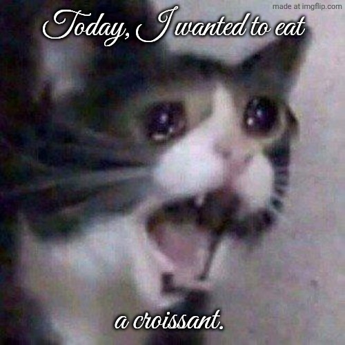 Croissant | Today, I wanted to eat; a croissant. | image tagged in cat screaming | made w/ Imgflip meme maker