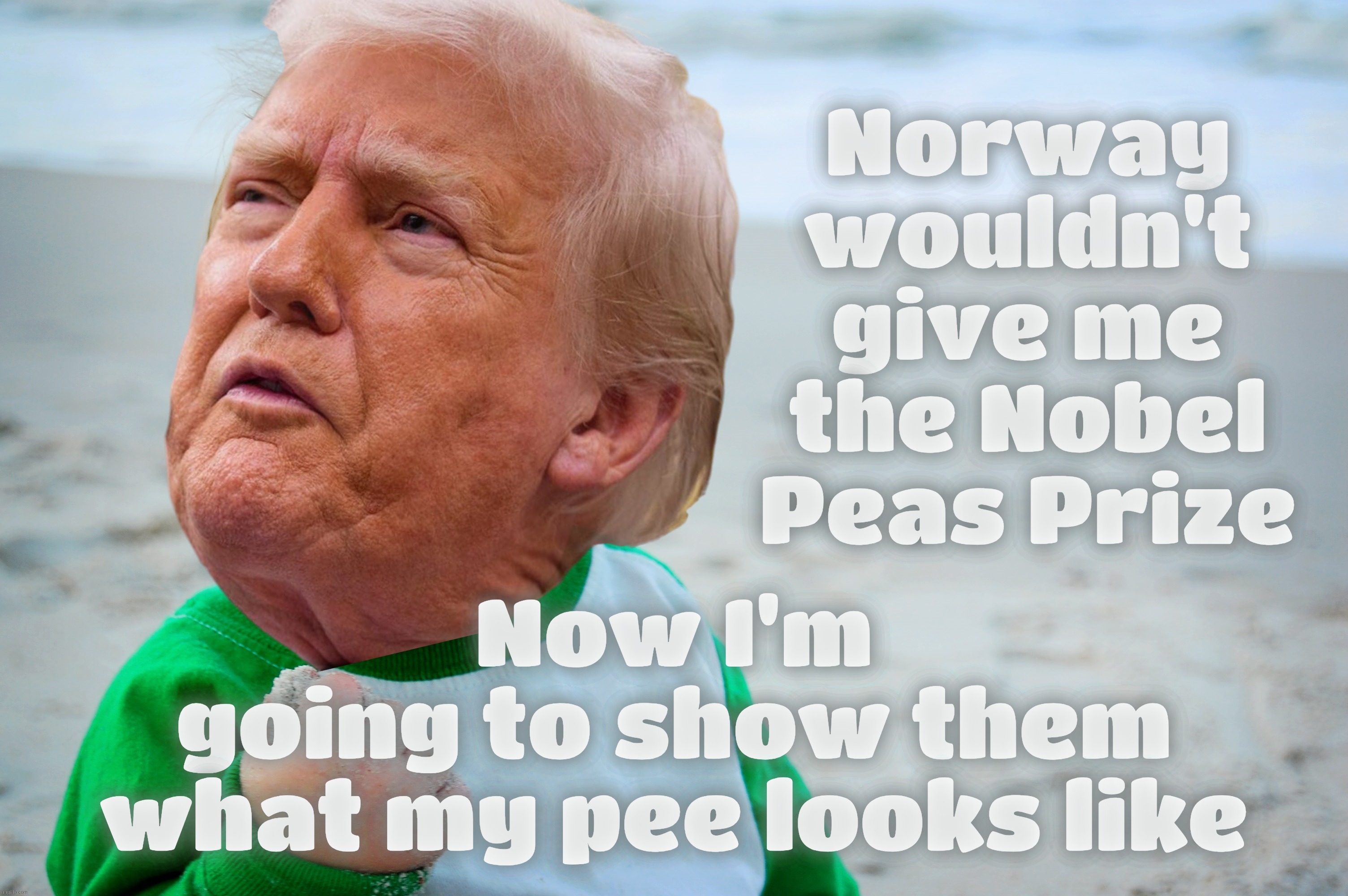 Norway wouldn't give Trump the Nobel. They couldn't if they wanted to. Not that they would want to | Norway
wouldn't
give me
the Nobel
Peas Prize; Now I'm
going to show them
what my pee looks like | image tagged in success kid,trump,nobel peace prize,nobel peas prize,norway didn't give trump the nobel,derp | made w/ Imgflip meme maker