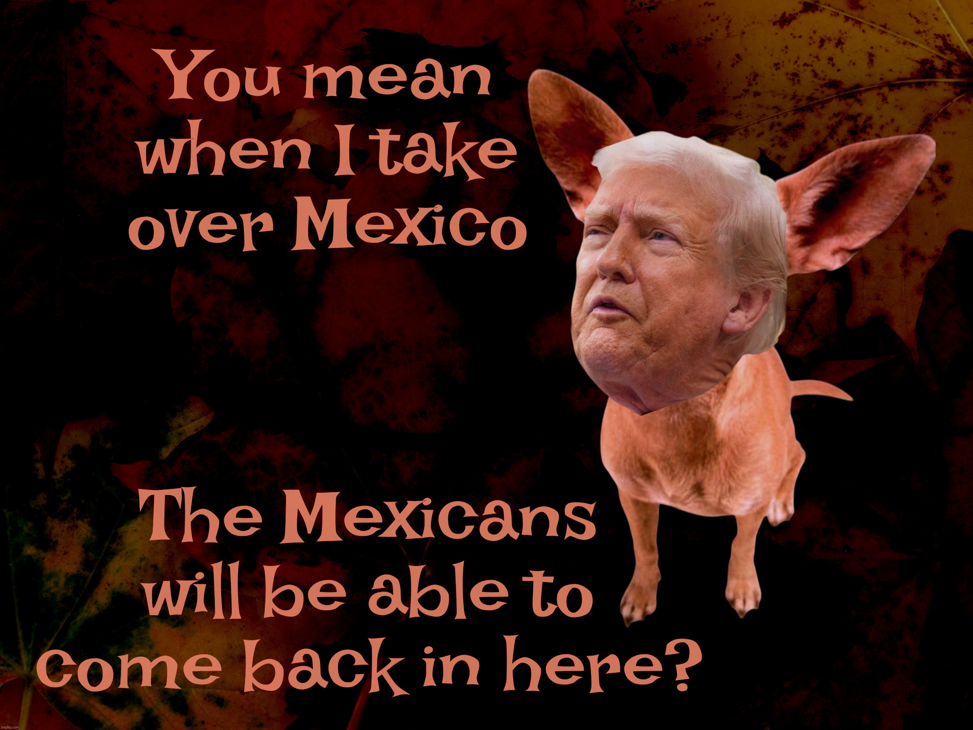 When Trump decides to take over Mexico, boy is he in for a surprise when he erases the border | You mean when I take over Mexico; The Mexicans will be able to come back in here? | image tagged in taco bell chihuahua,trump,trump invade mexico,trump is invading everything,if mexico is part of the us,there's no more border | made w/ Imgflip meme maker