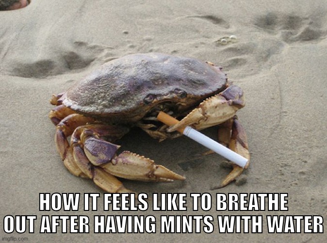 Smoking Crab | HOW IT FEELS LIKE TO BREATHE OUT AFTER HAVING MINTS WITH WATER | image tagged in smoking crab | made w/ Imgflip meme maker