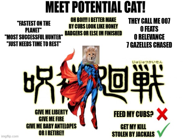 Meet Potential Cat! | image tagged in cat meme,funnymemes | made w/ Imgflip meme maker