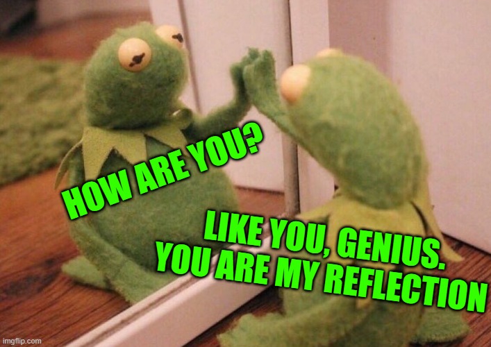 Kermit Mirror | HOW ARE YOU? LIKE YOU, GENIUS. YOU ARE MY REFLECTION | image tagged in kermit mirror | made w/ Imgflip meme maker